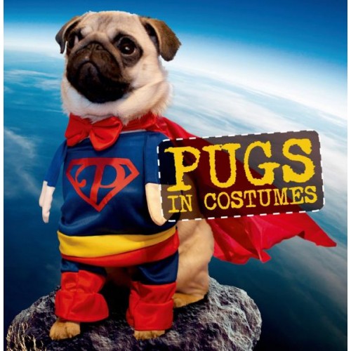 Pugs in Costumes Pugs in Costumes