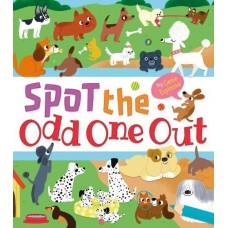 Spot the Odd One Out Spot the Odd One Out