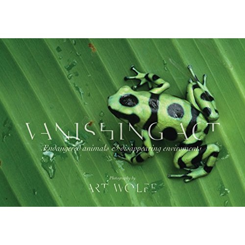Vanishing Act: The Artistry of Animal Camouflage Vanishing Act: The Artistry of Animal Camouflage