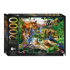 Mindboggler Deluxe Collection: In The Jungle